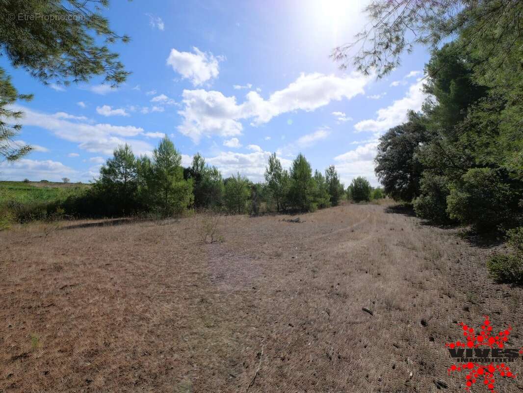 Terrain à QUARANTE