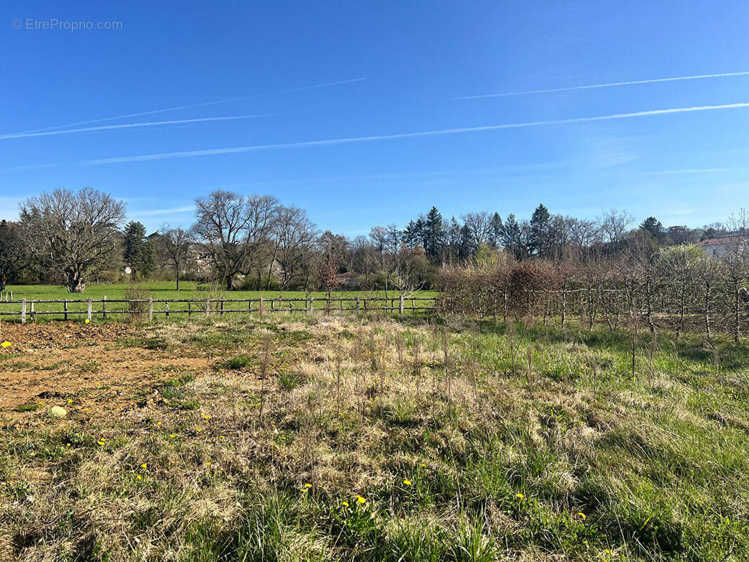 Terrain à JUJURIEUX