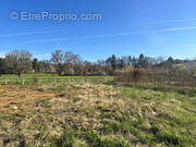 Terrain à JUJURIEUX