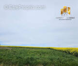 Terrain à HEROUVILLE