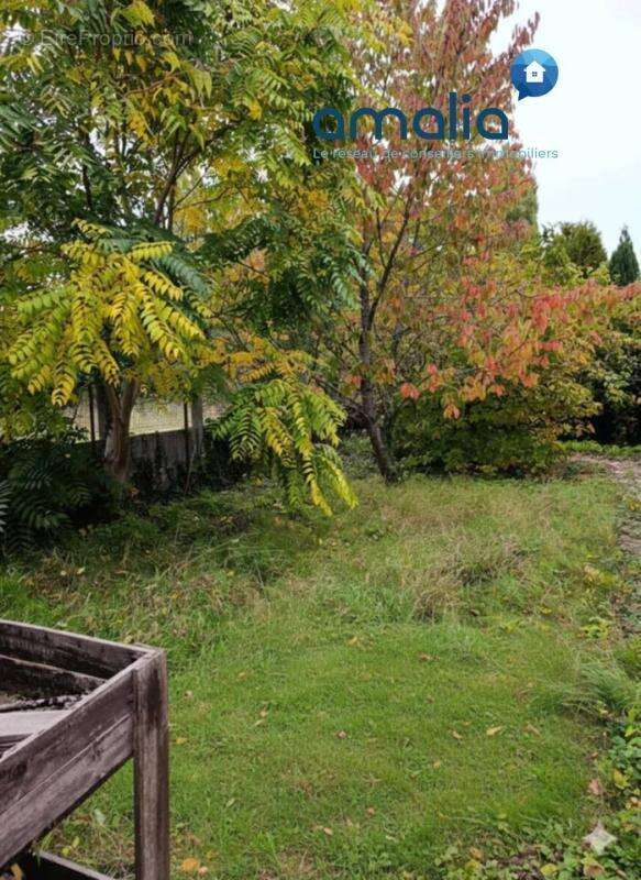 Maison à MONTIGNY-EN-GOHELLE