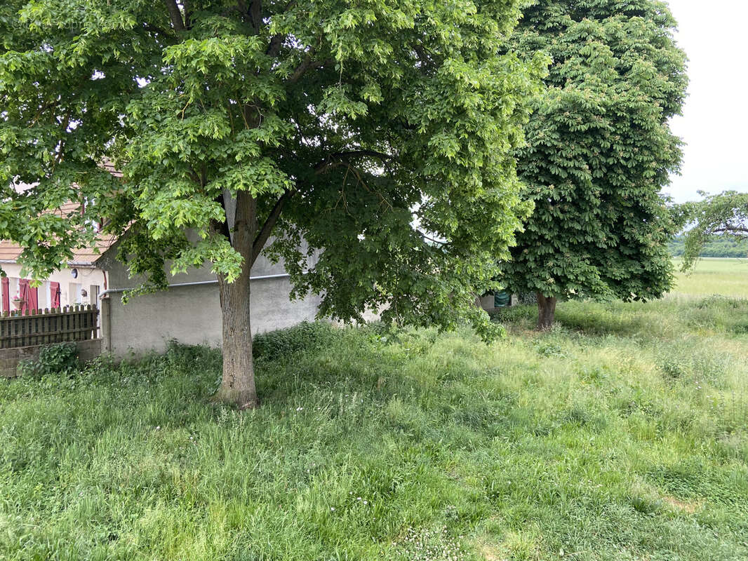 Terrain à LITZ