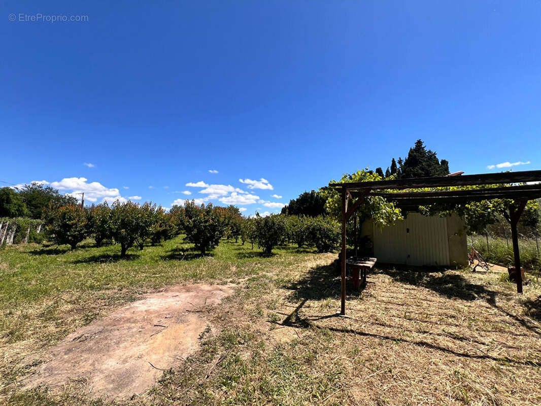 Terrain à PEZILLA-LA-RIVIERE