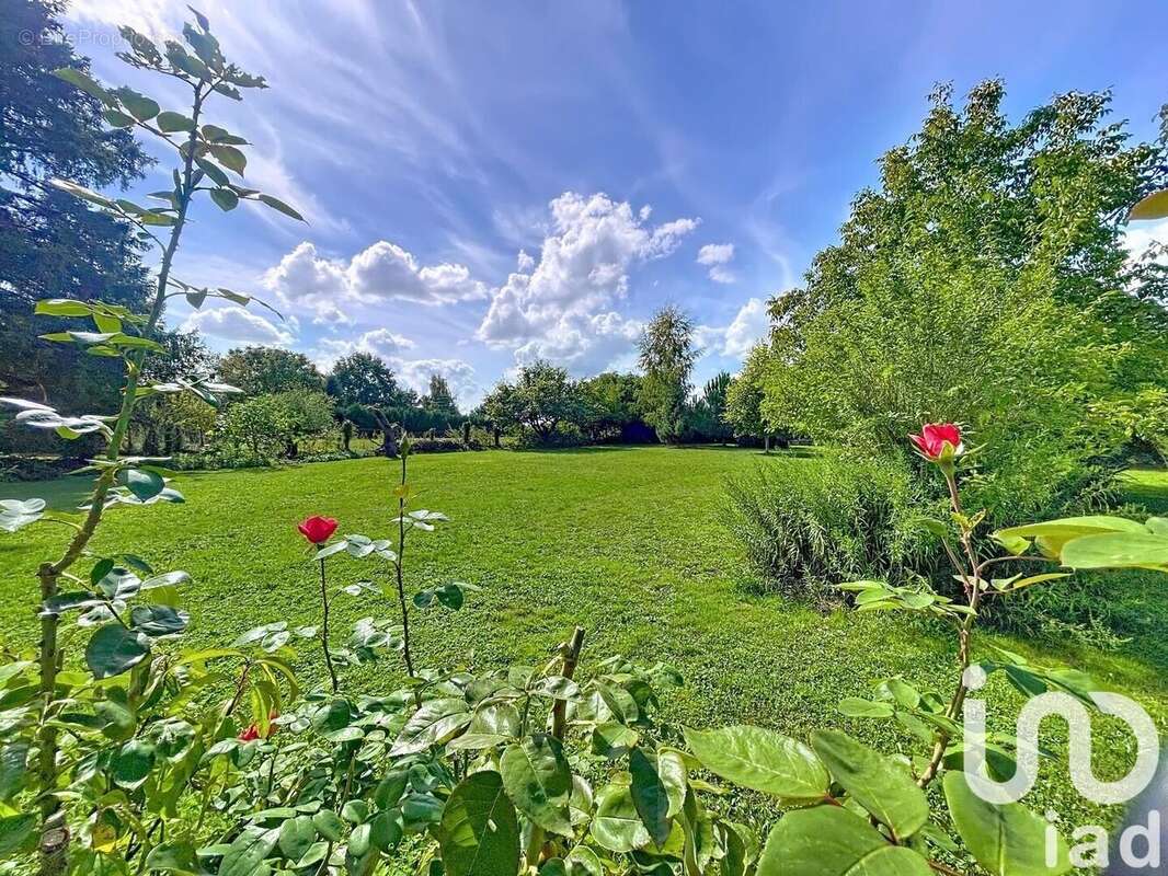 Photo 7 - Maison à VILLEBEON