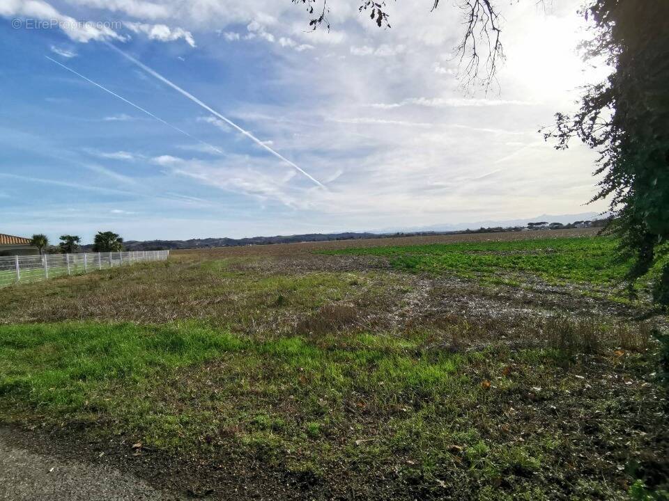 Terrain à GAJA-ET-VILLEDIEU