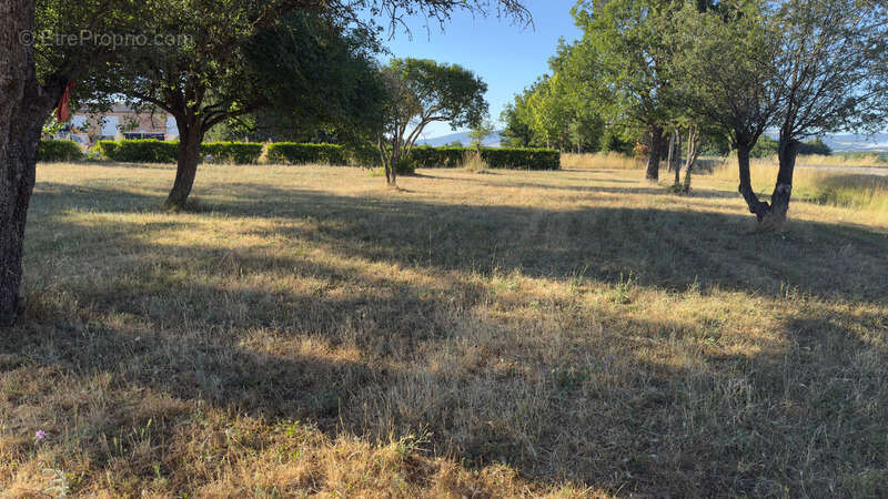 Terrain de loisir à vendre  SAINT CHRISTOL (84) - photo 3