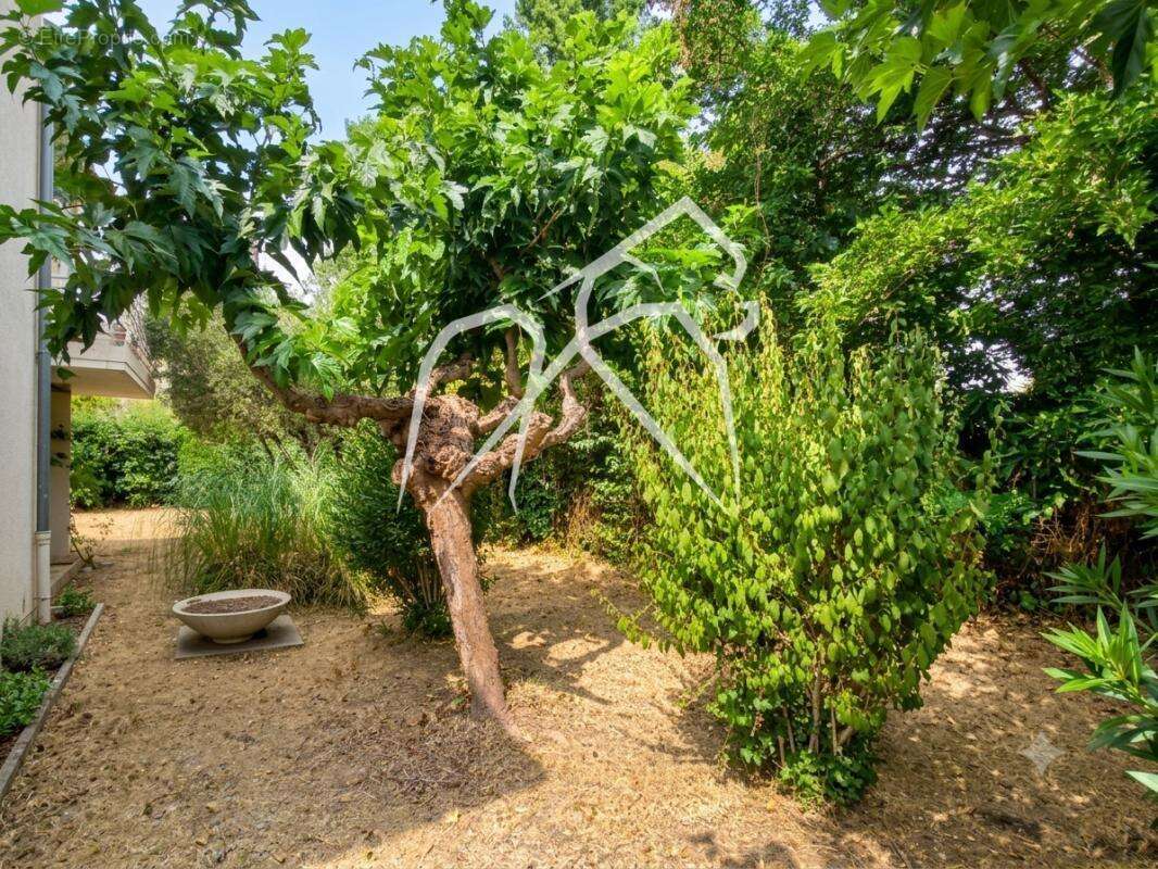 Rare à Montpellier Aiguerelles  Maison 8 pièces 230 m² avec piscine et terrain de 1 100 m²  fort potentiel – nombreux aménagemen - photo 3