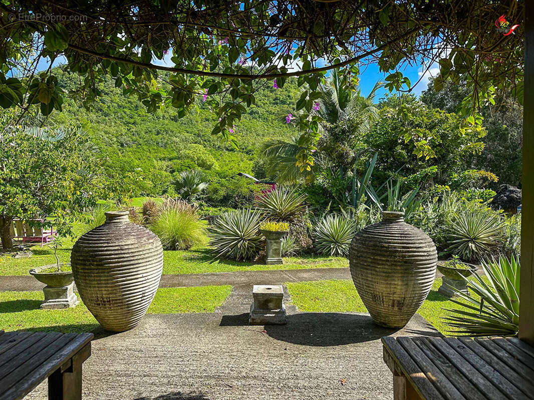 Villa Sud Ouest Martinique - photo 2