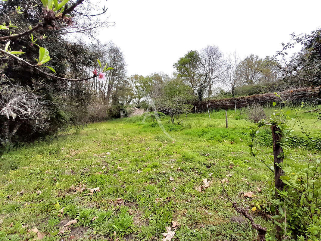 Maison à LABASTIDE-D&#039;ARMAGNAC