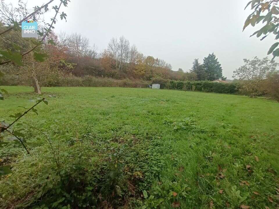 A SENNECE-LES-MACON TERRAIN A BATIR DE 2460 ENV DONT 1 100 M² - Terrain à MACON