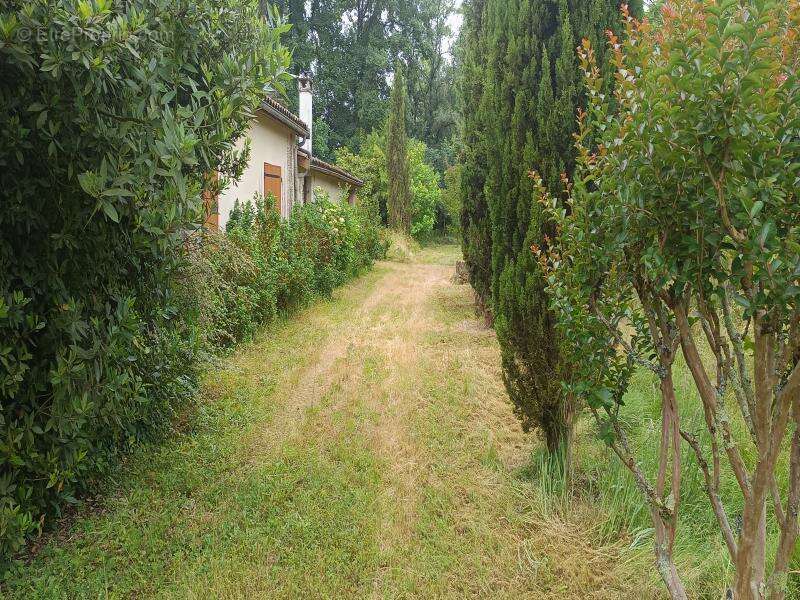 Maison à SAINT-SEURIN-SUR-L&#039;ISLE