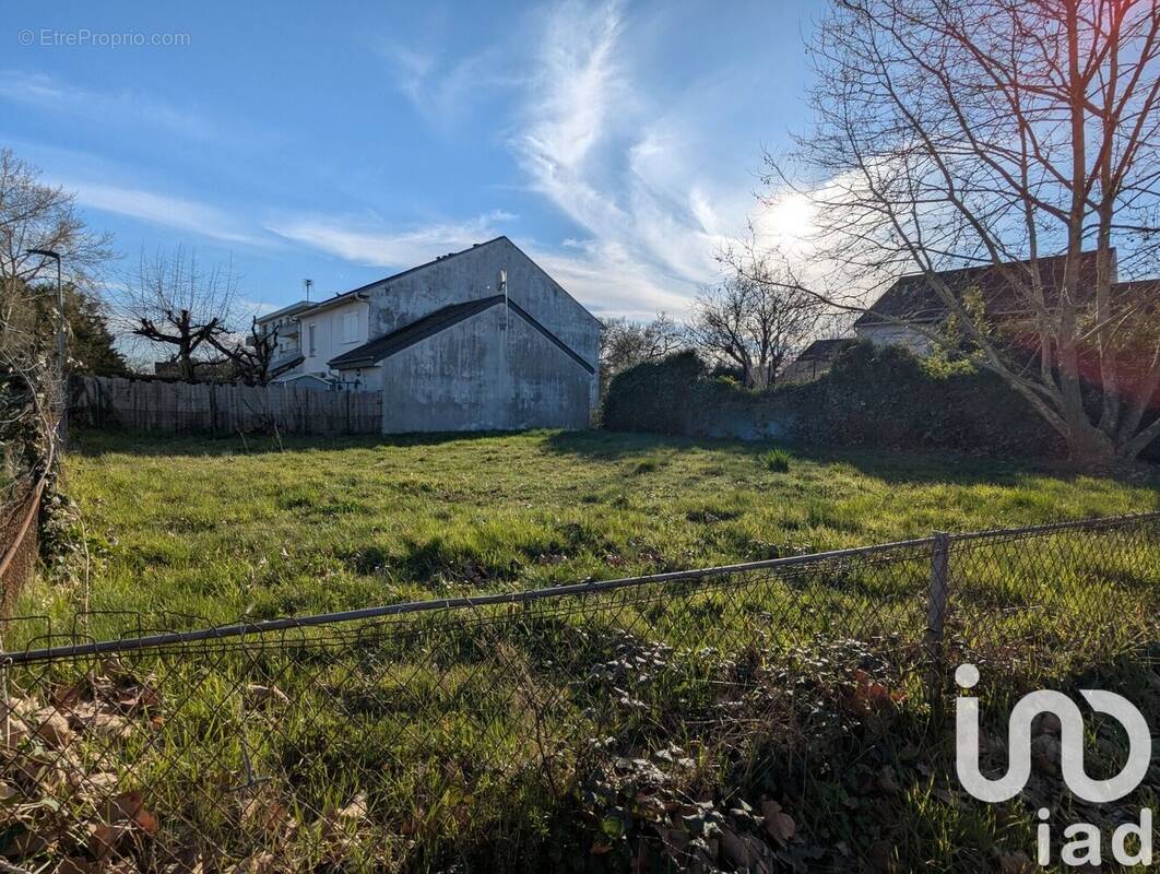 Photo 1 - Terrain à BOURGUEIL