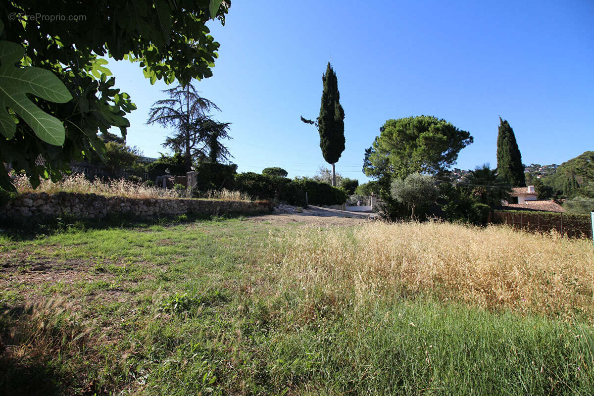 Mougins - terrain - photo 4