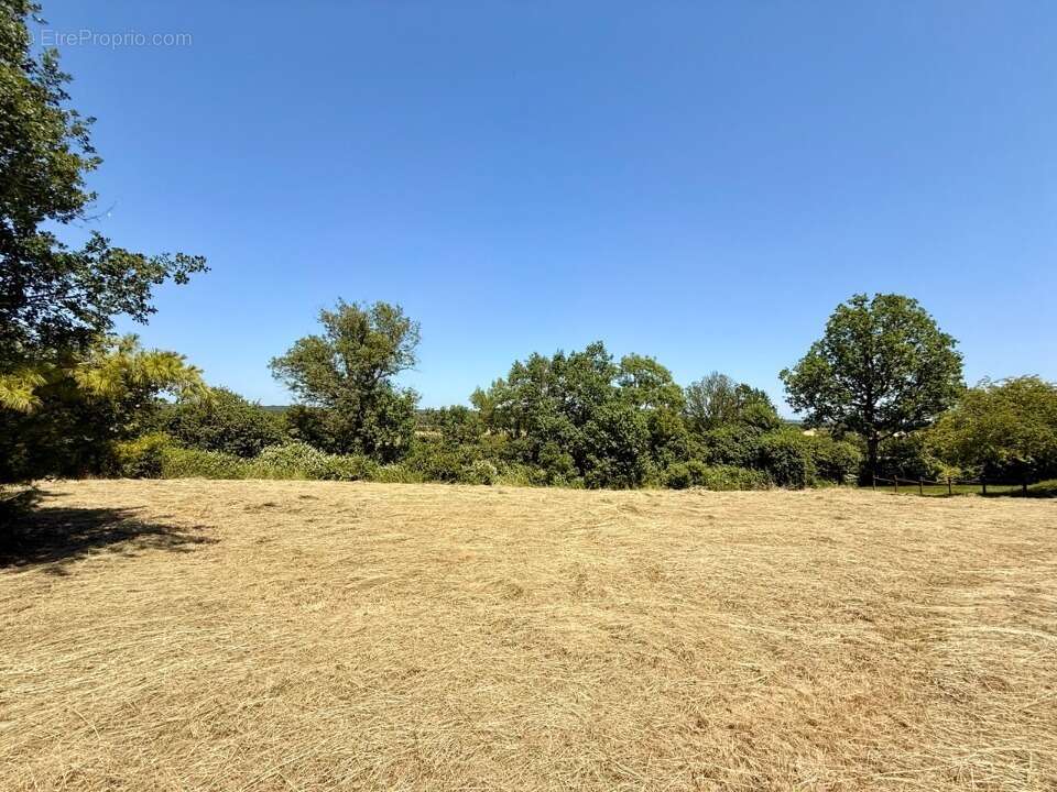 Terrain 1060 m² à Monmadales  - photo 2