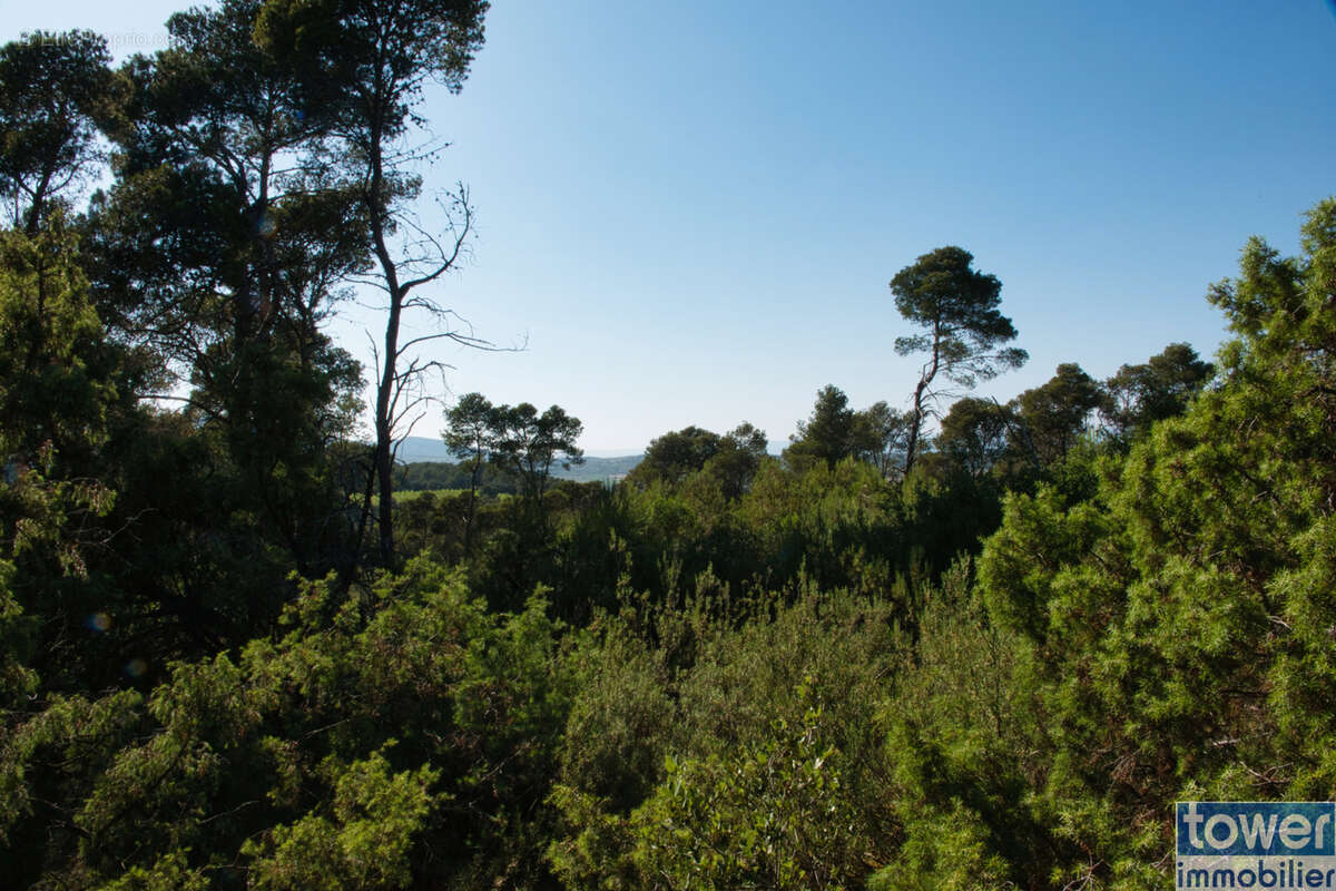Terrain à FABREZAN