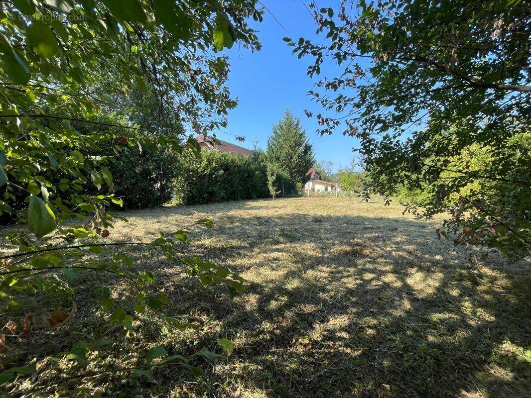 Terrain à vendre alby sur cheran - photo 4