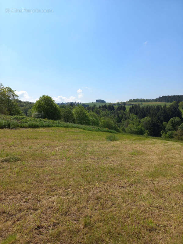 Maison à SAINT-ROMAIN-LES-ATHEUX