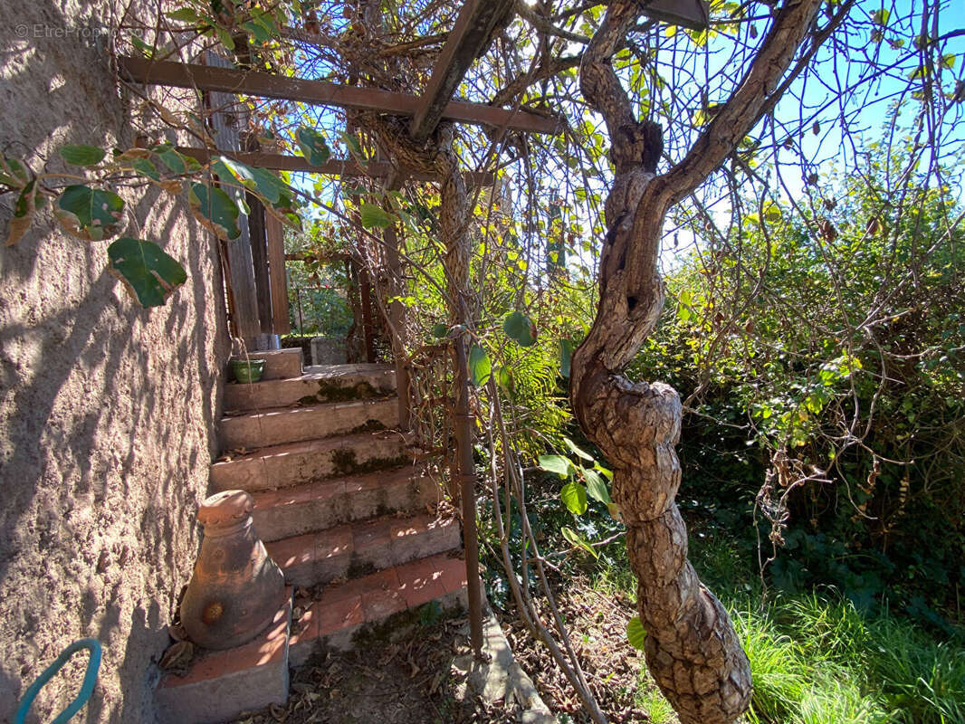 Maison à CENNE-MONESTIES