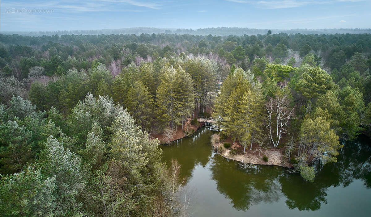 Investissement dans un Center Parcs - photo 11