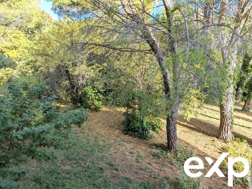 Appartement à LODEVE