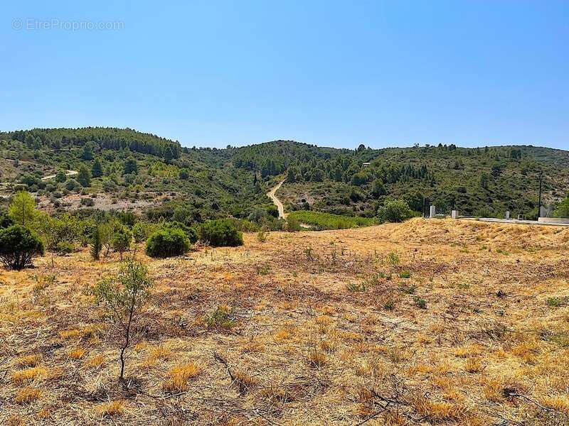 Terrain constructible avec vue imprenable - photo 4