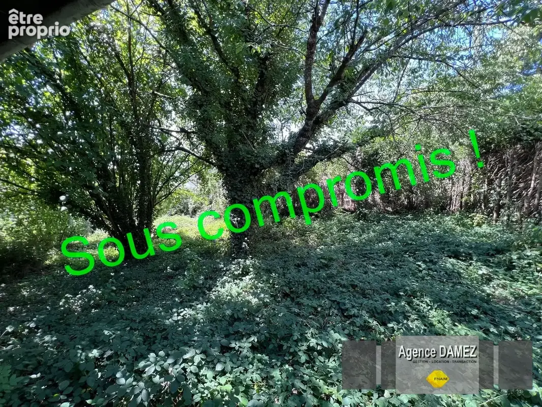3 KM Dourdan, SAINTE-MESME, maison traditionnelle sur sous-sol, 7 pièces 175 m² - photo 12