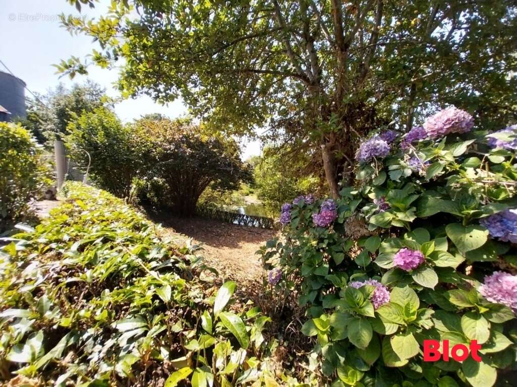 Maison à ERCE-EN-LAMEE