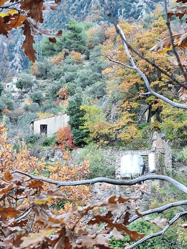 Maison à BREIL-SUR-ROYA