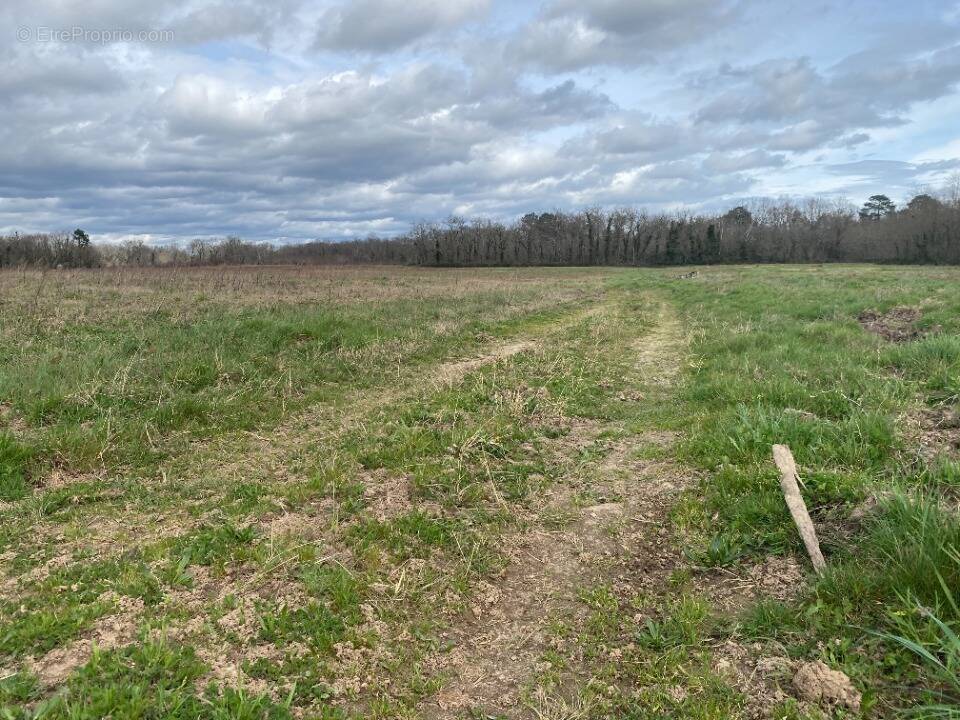 Terrain à LANGON