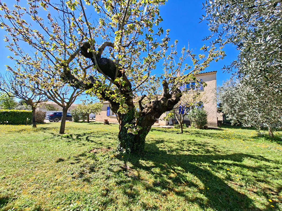 Maison d'exception à vendre à Pertuis - 7 pièces, 5 chambres, grand terrain - photo 5