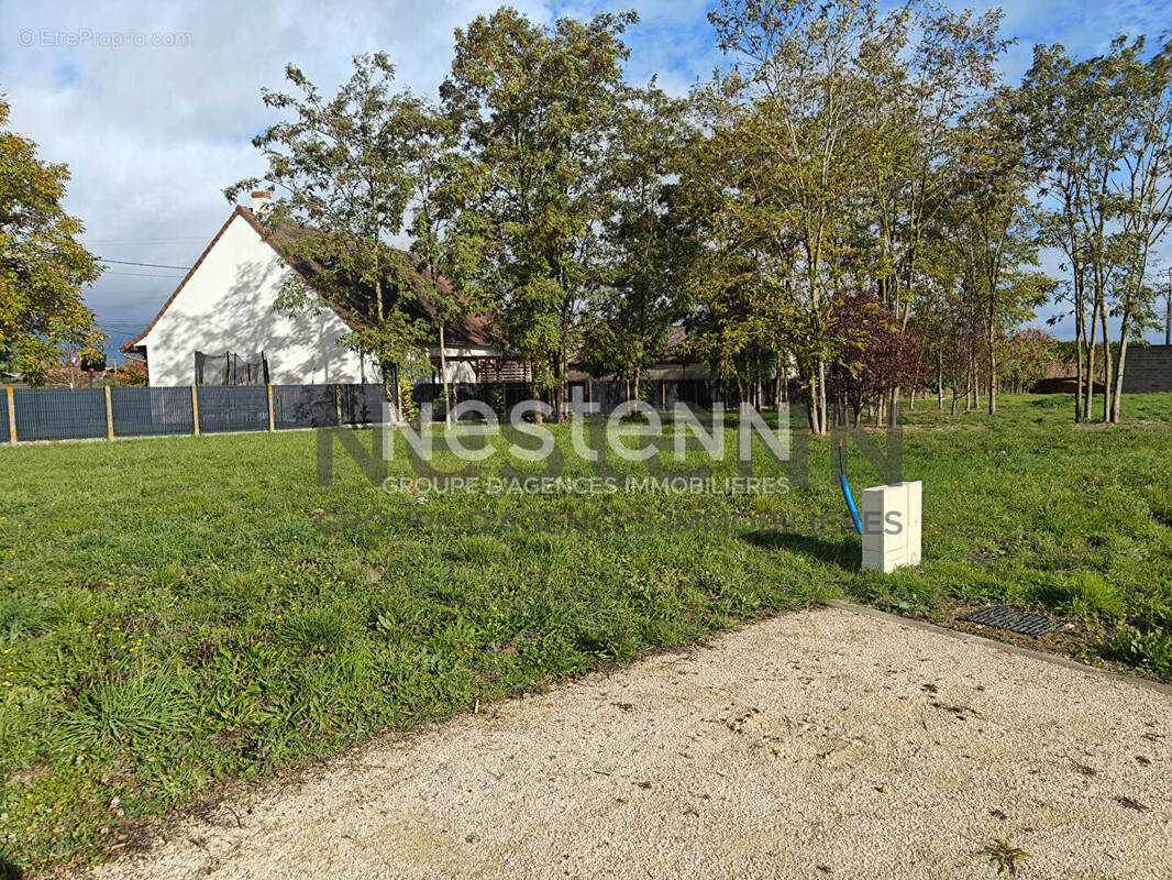 Terrain à FOSSE