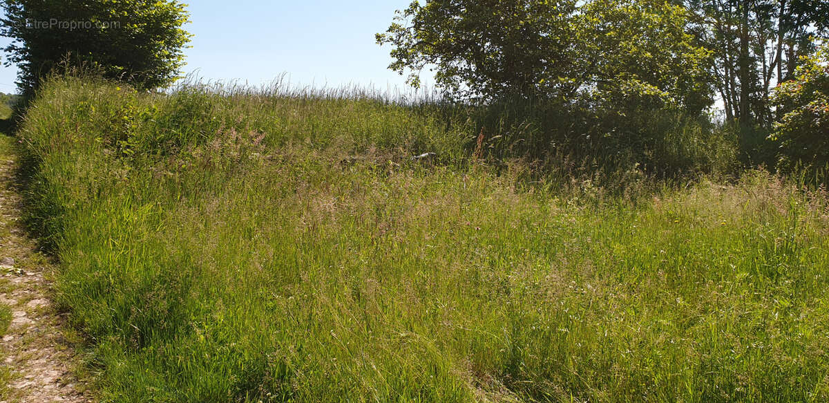 Maison à SAINTE-FOY-L&#039;ARGENTIERE