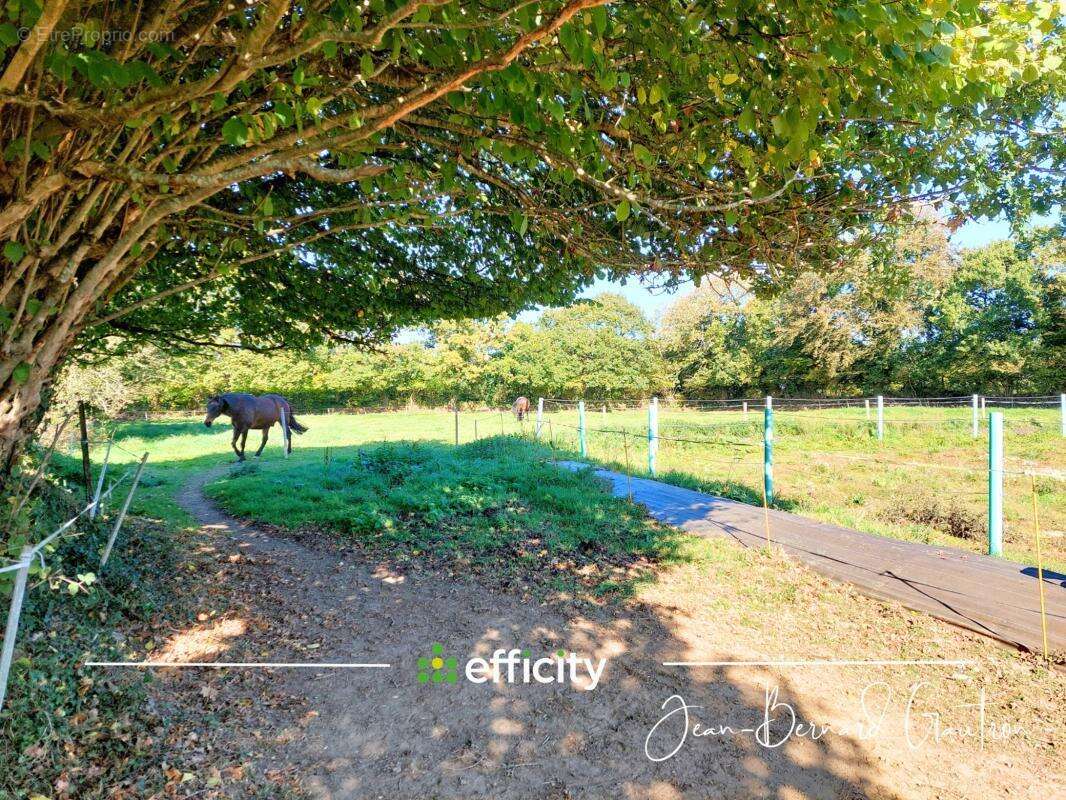 Maison à BELLE-ISLE-EN-TERRE