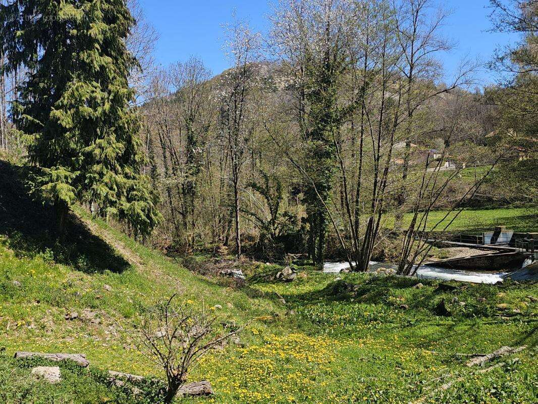 Maison à MONTFERRIER