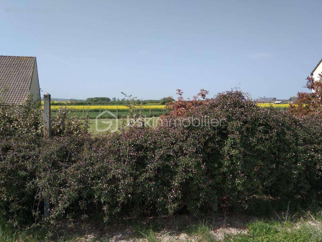 Terrain à BERCHERES-SAINT-GERMAIN