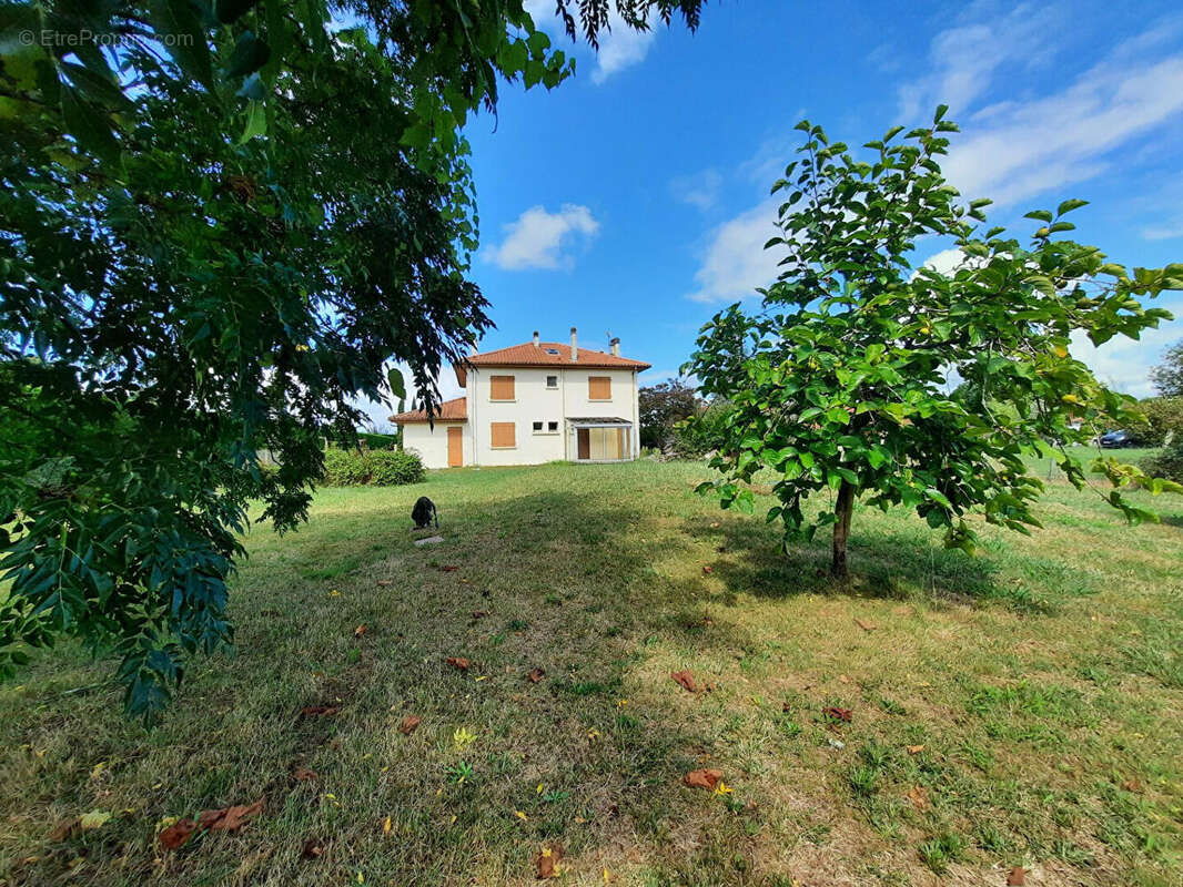 Maison à SAINT-JEAN-DE-MARSACQ