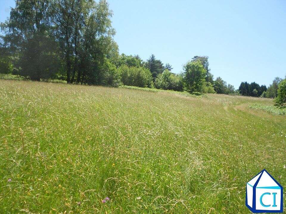 Terrain à LACROUZETTE