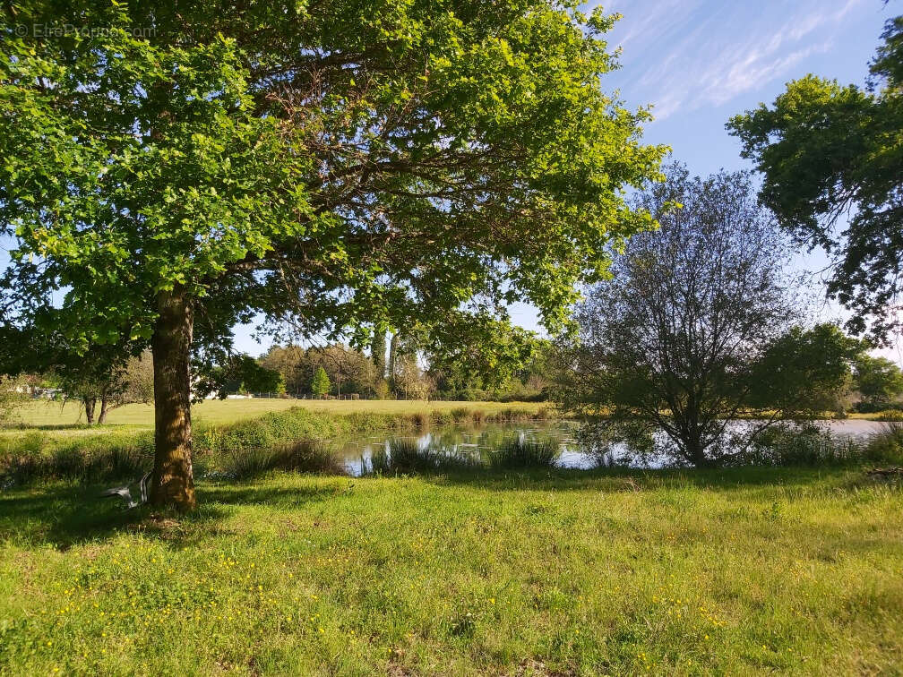 Maison à CASTELJALOUX