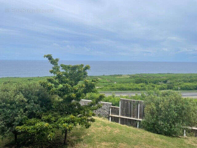 Photo 4 - Appartement à LE PORT