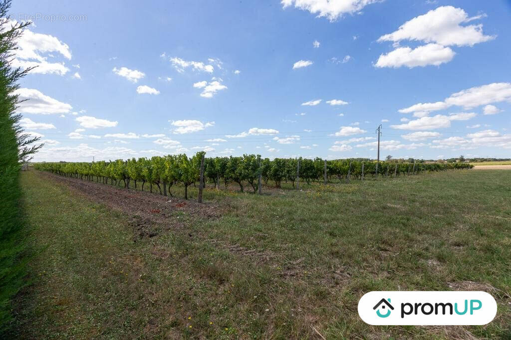 Terrain à FONTAINES-D'OZILLAC