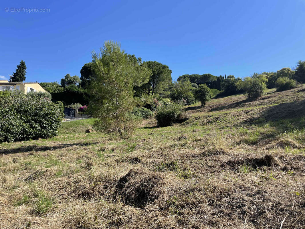 Terrain à SAINT-PAUL