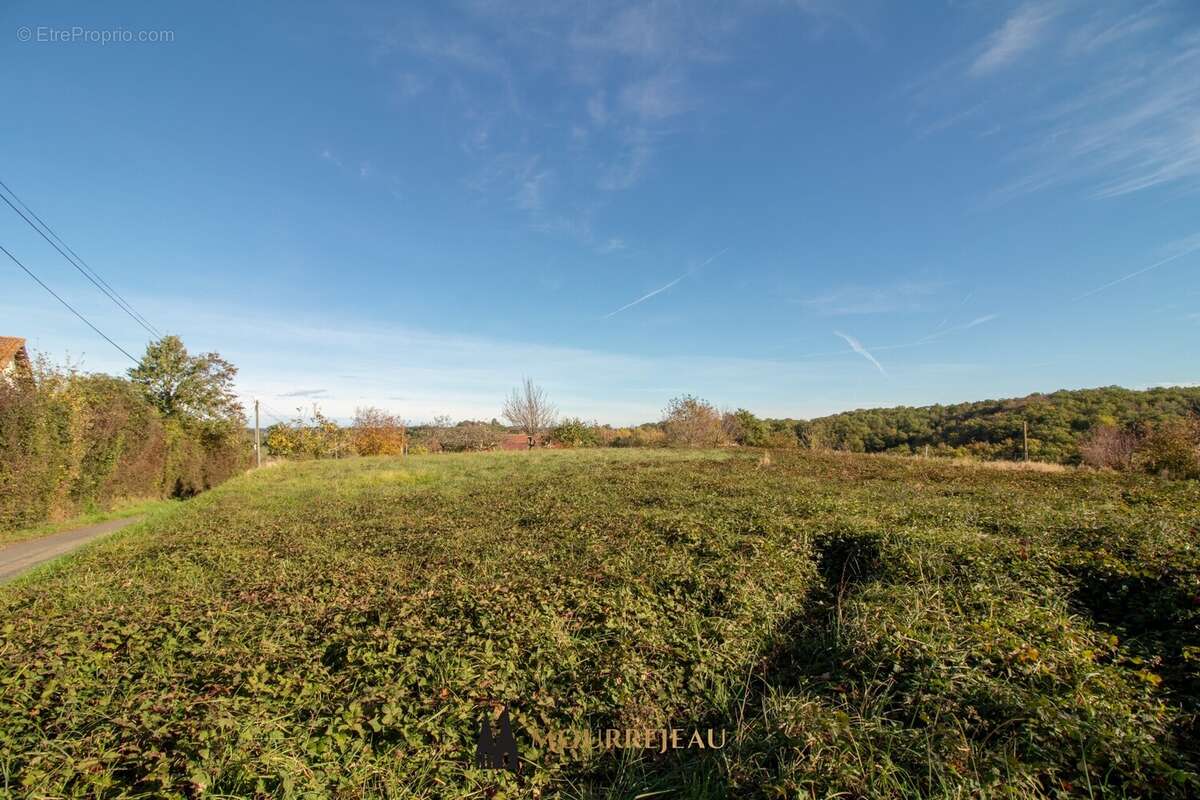 Terrain à MARCIAC