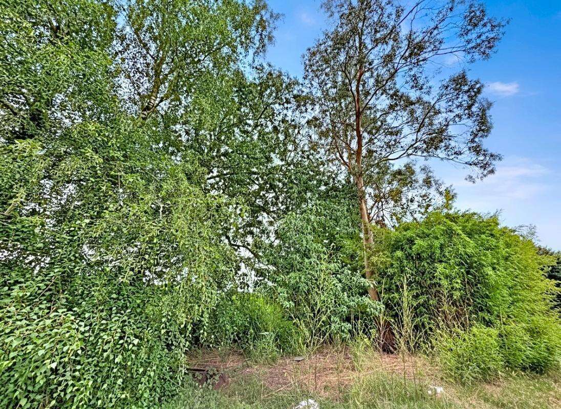 EXCLUSIVITE  A THENAC Maison à rénover de 271 m2 utile - photo 16