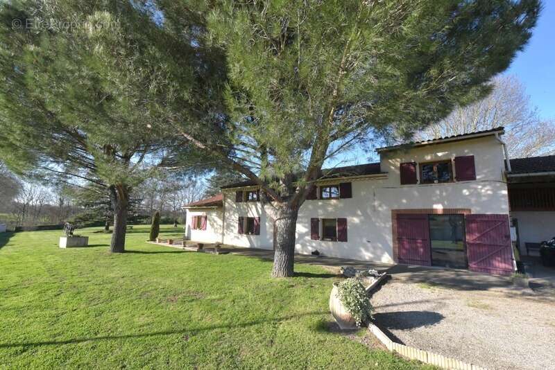 Maison à LAVAUR