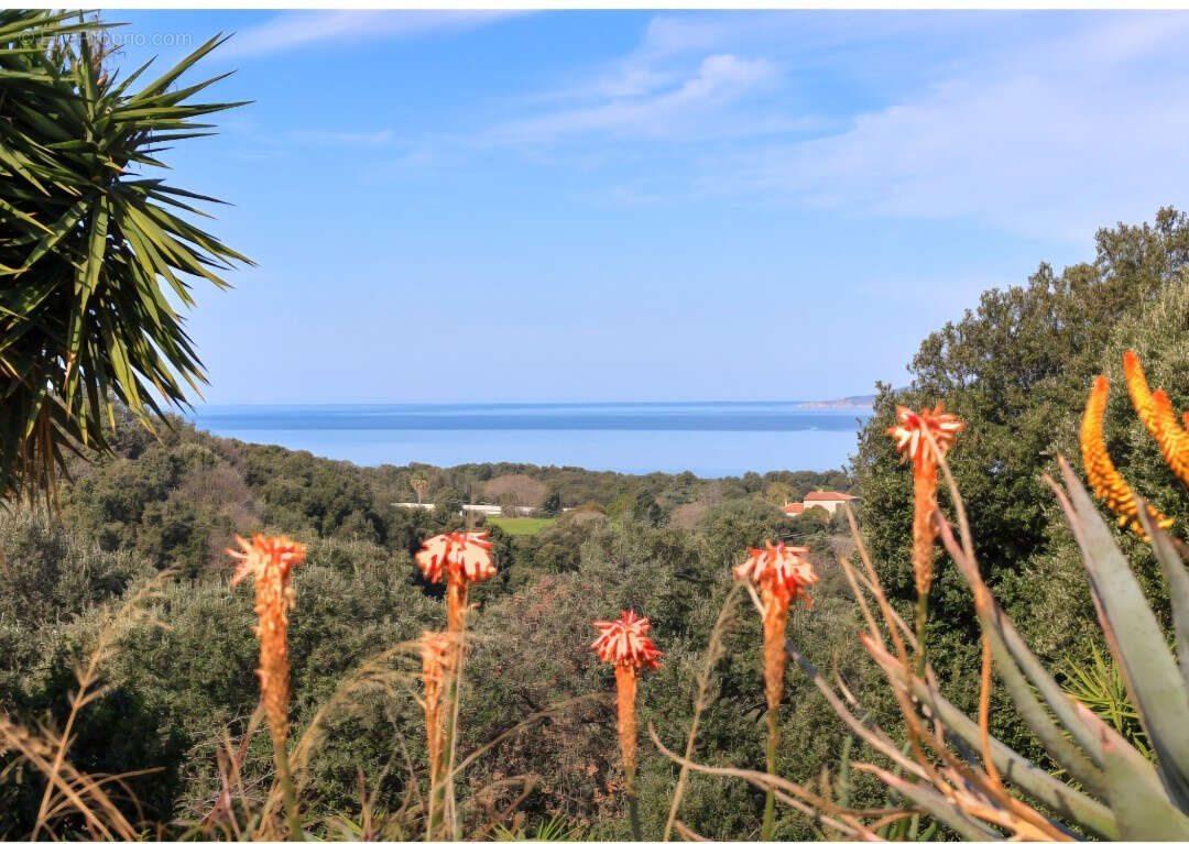Maison à CALCATOGGIO