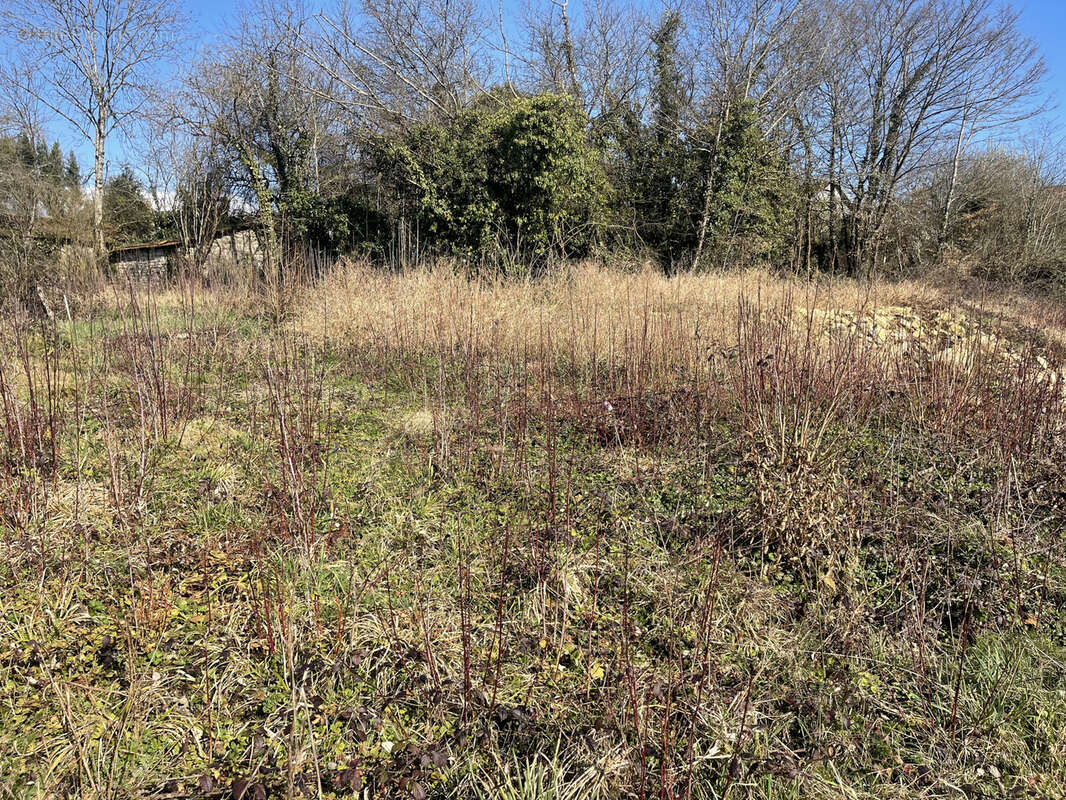 Terrain à ADELANS-ET-LE-VAL-DE-BITHAINE