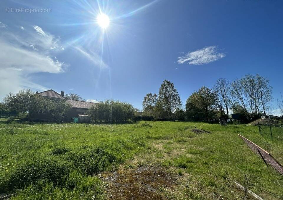 Terrain à BROCOURT