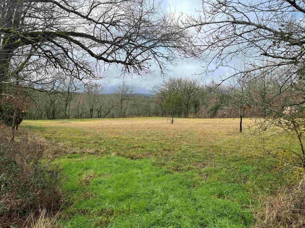 Terrain à LAMOTHE-FENELON