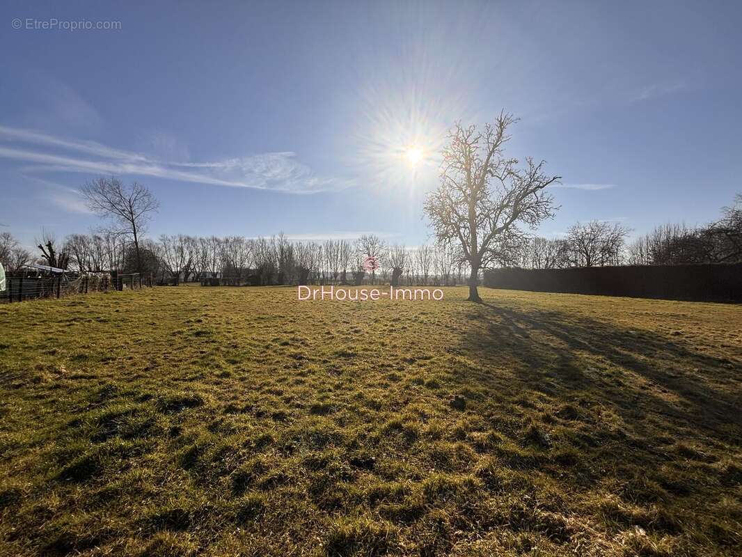 Terrain à LA LONGUEVILLE