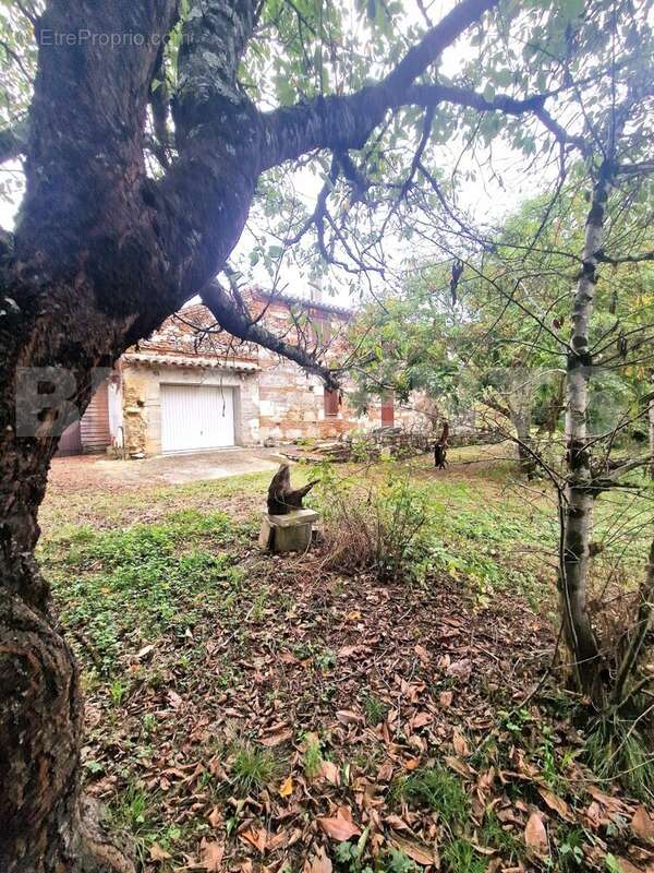 20250912_094807 - Maison à MERLES